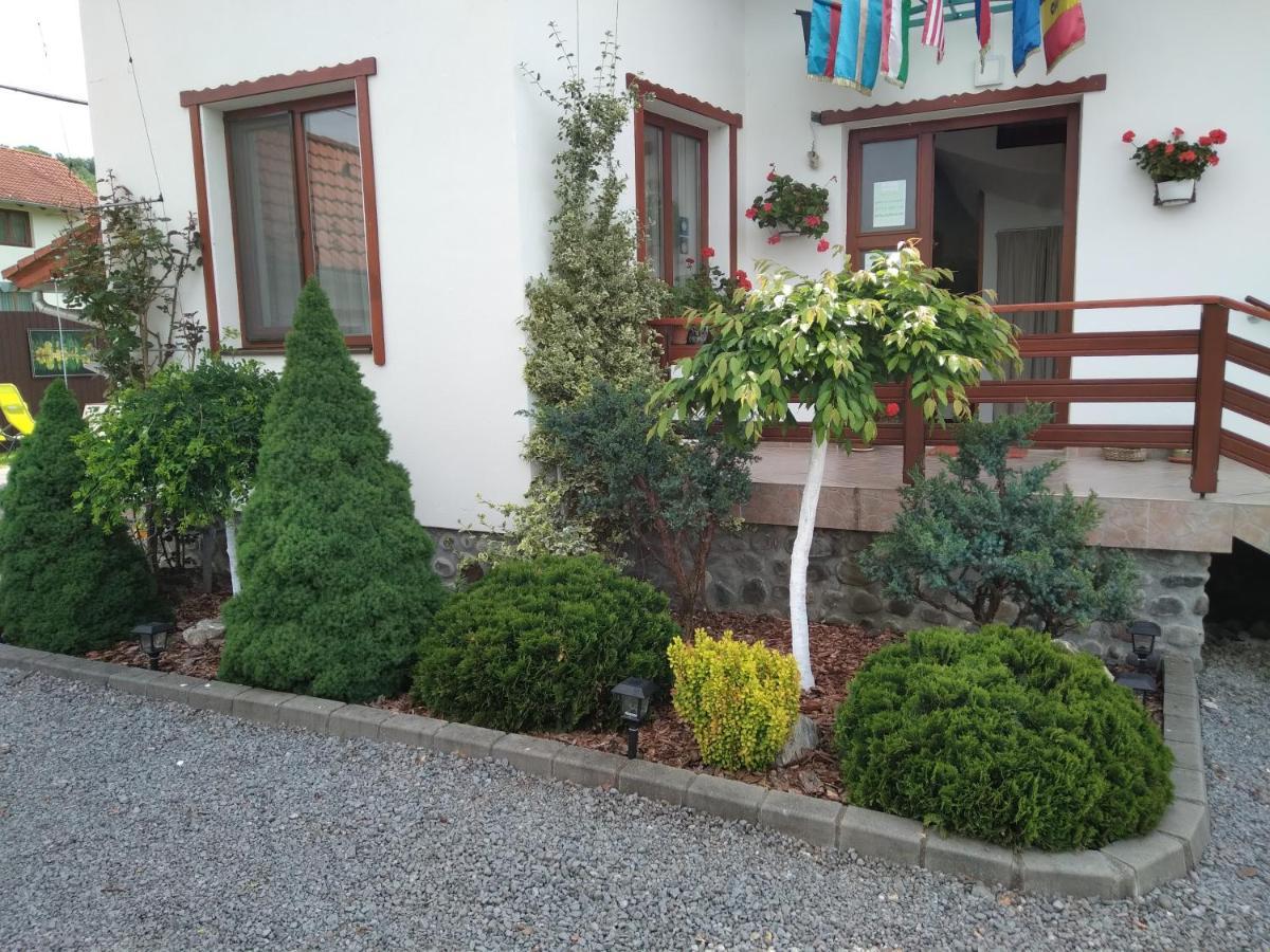 Raza Soarelui Apartment Sovata Exterior photo